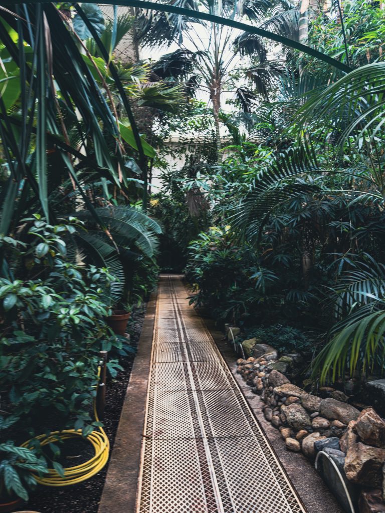 Botanischer Garten